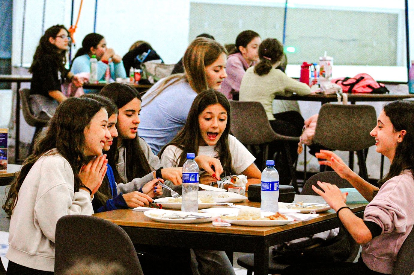 Expressão e Comunicação 6